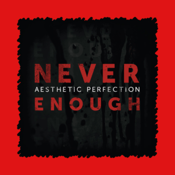 Aesthetic Perfection - Never Enough