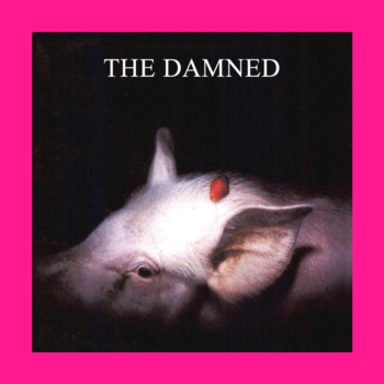 The Damned - Strawberry