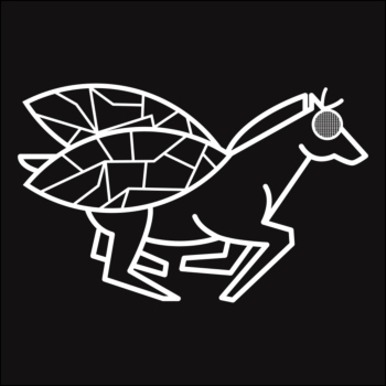 Alogomyga