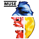 Muse-Cover