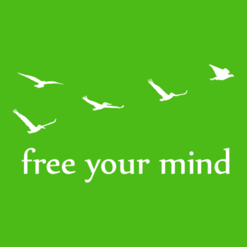Free Your Mind Fly