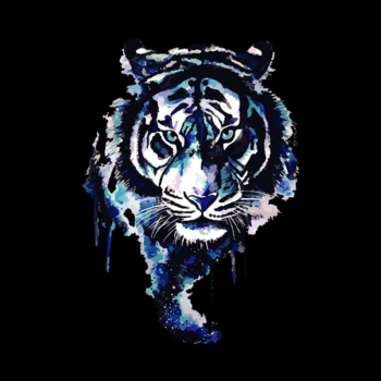 Tiger Blue